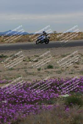 media/Jan-14-2023-SoCal Trackdays (Sat) [[497694156f]]/Turn 14 Exit Bloomig (145pm)/